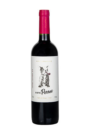 Viejo Bodeguero Syrah
