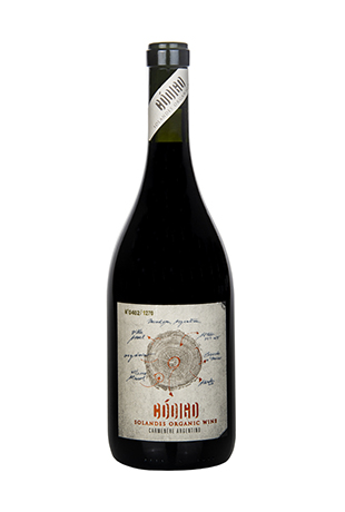 Viejo Bodeguero Malbec