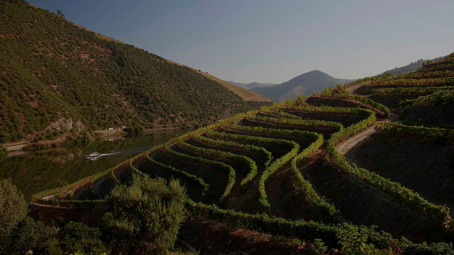 Quinta Do Espinho