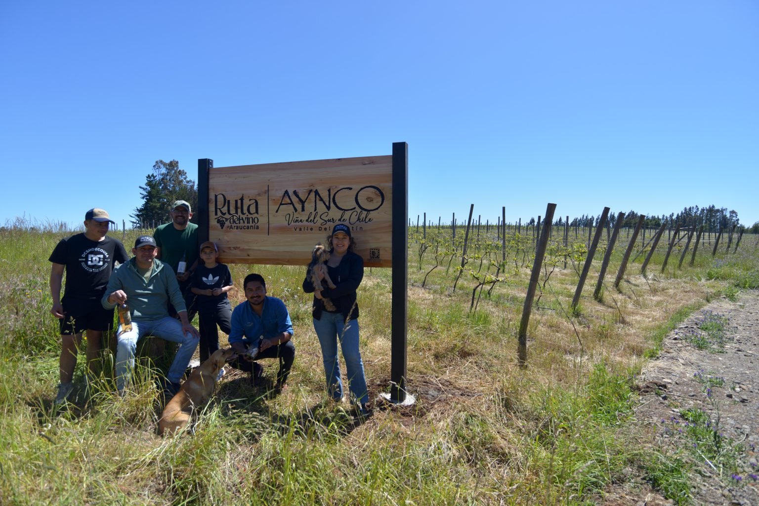 Aynco