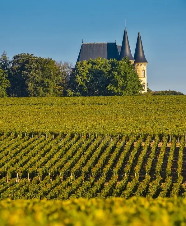 Bordeaux França