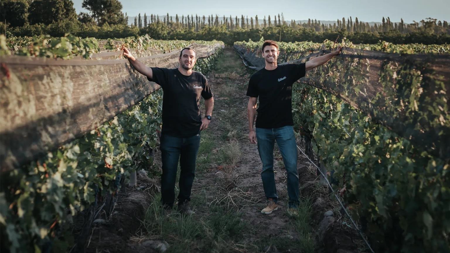 Entrometido Wines
