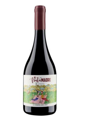 Valle Secreto de Fruta Madre Carmenere