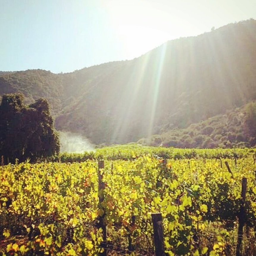 Clos Andino