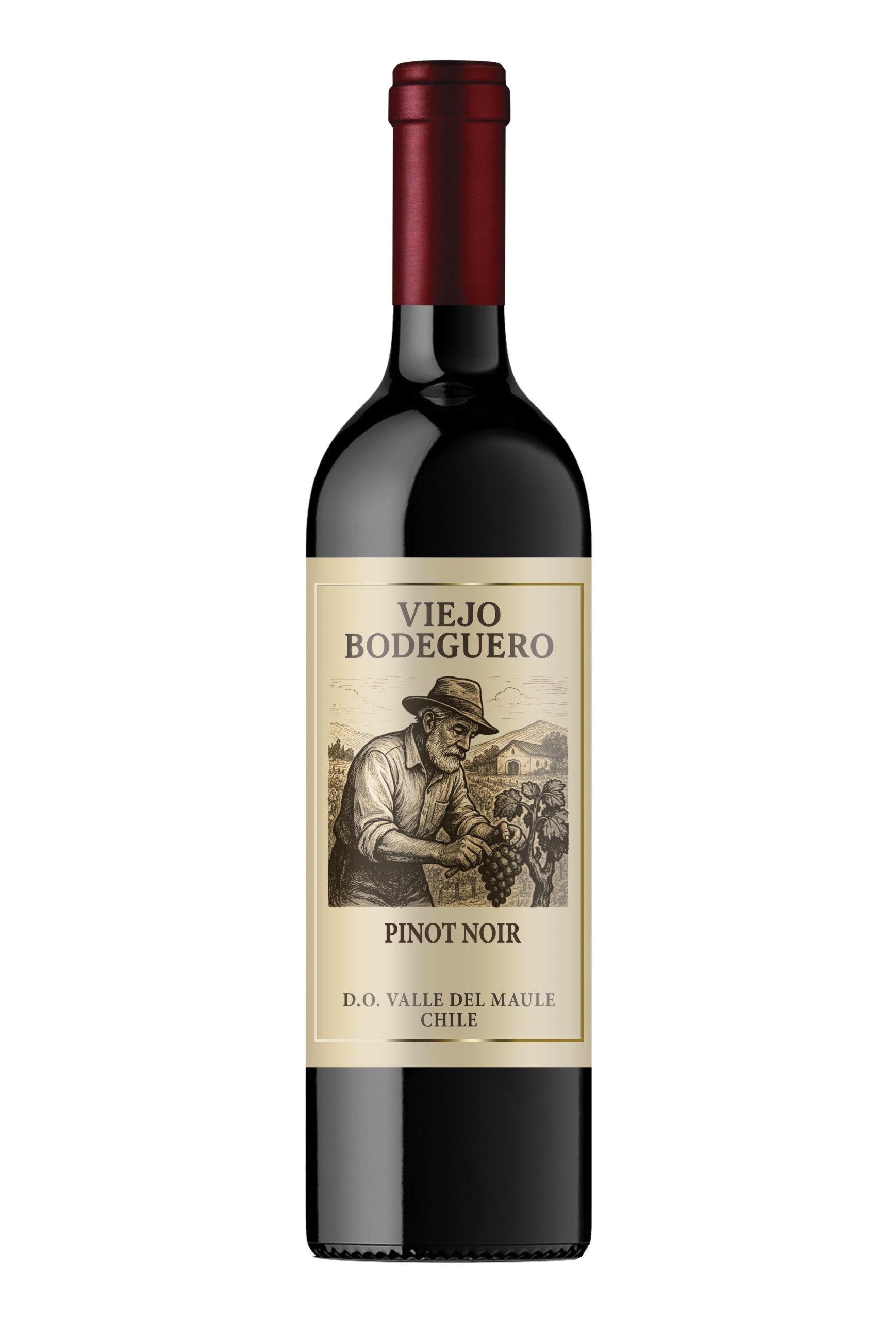 Viejo Bodeguero Pinot Noir